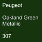 Preview: Peugeot, Oakland Green Metallic, 307.